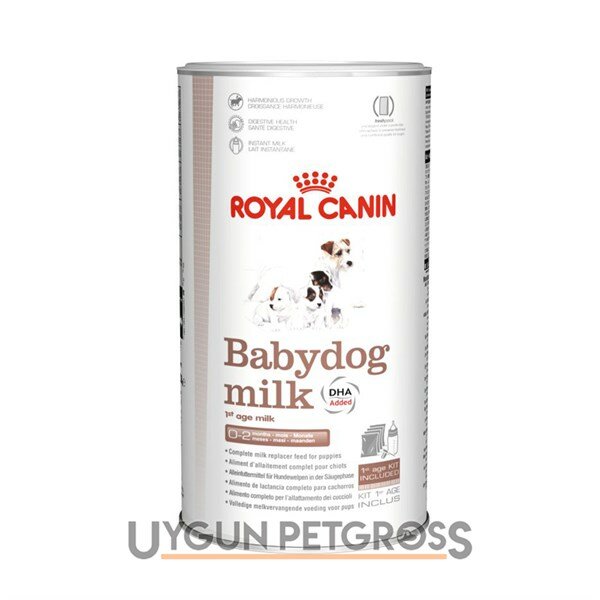 Köpeklerin En Sevdiği Köpek Maması Markası: Royal Canin