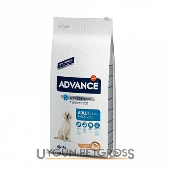 Advance Tavuklu Büyük Irk Yetişkin Köpek Maması 14 Kg - Advance - Yetişkin Köpek Maması