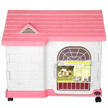 Dayang Kedi-Köpek Kafes