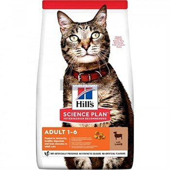 Hills Kuzu Etli Yetişkin Kedi Maması 10 Kg