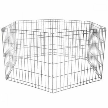 Köpek citi 73x70 Cm