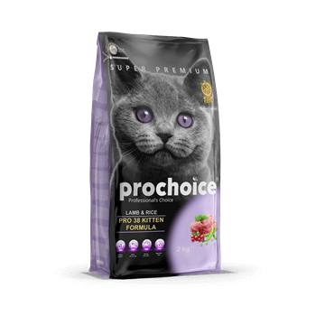 Pro Choice Pro 38 Kuzu Etli Kitten Yavru Kedi Maması 2 Kg - Pro Choice - Yavru Kedi Maması