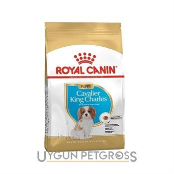 Royal Canin Cavalier Puppy Yavru Köpek Maması 1.5 Kg - Royal Canin - Yavru Köpek Maması